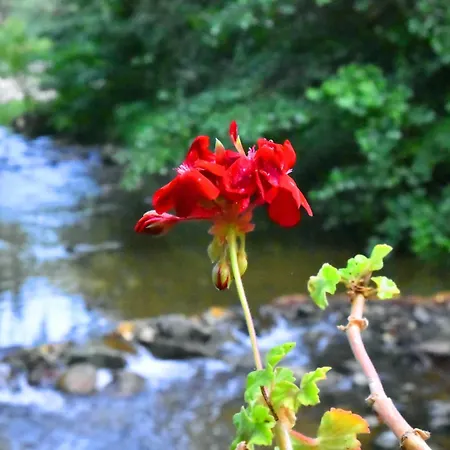 House By The River *