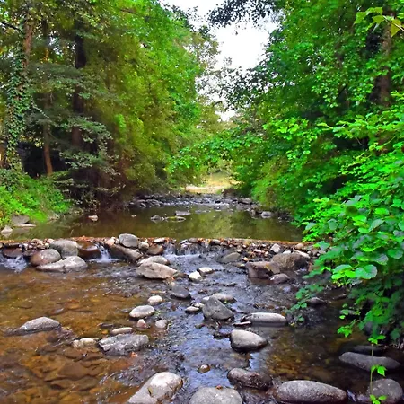 House By The River * Tetewen