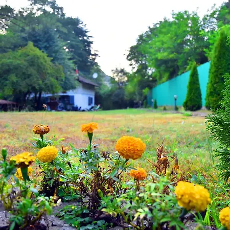 House By The River テテヴェン